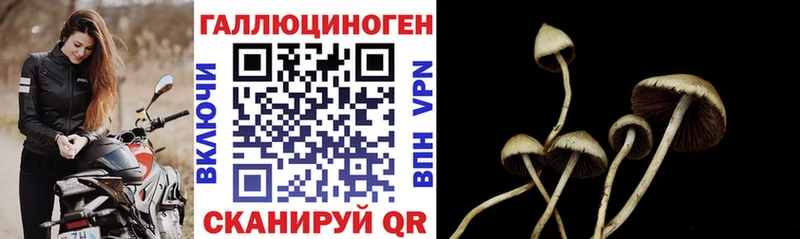 Галлюциногенные грибы ЛСД  где продают наркотики  Хвалынск 